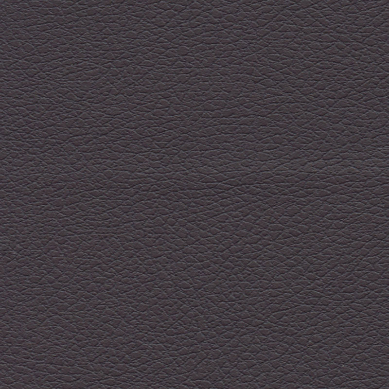 Purchase sample of 303-9378 Brisa, Graphite by Schumacher Fabric