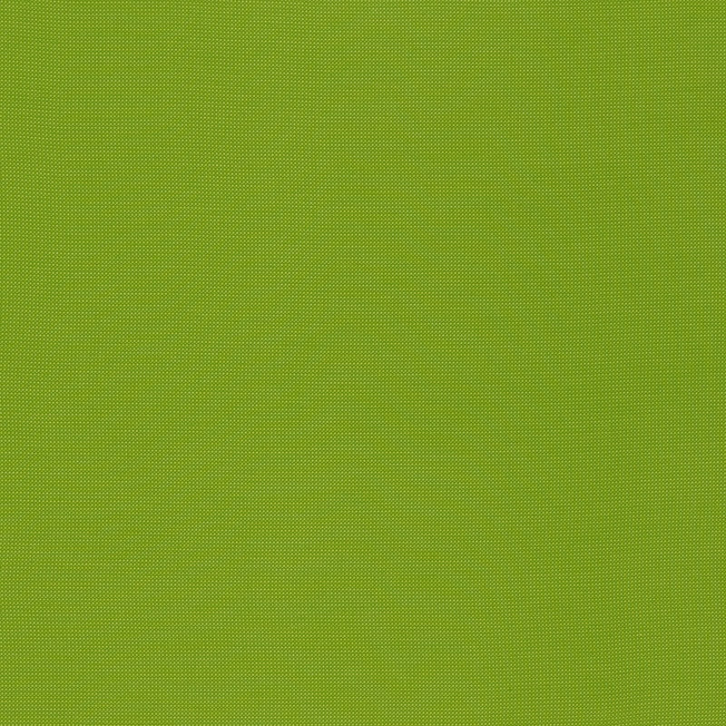 Purchase sample of 71032 Mondello, Lime by Schumacher Fabric