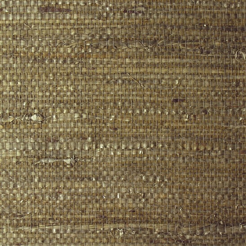 Purchase 1741 Extra Fine Arrowroot Olive Phillip Jeffries Wallpaper