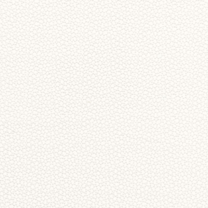 Purchase sample of 67660 Rossini Sheer, Ivory by Schumacher Fabric