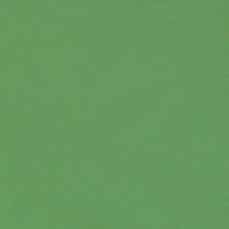 Purchase sample of 69593 Blake, Grass by Schumacher Fabric