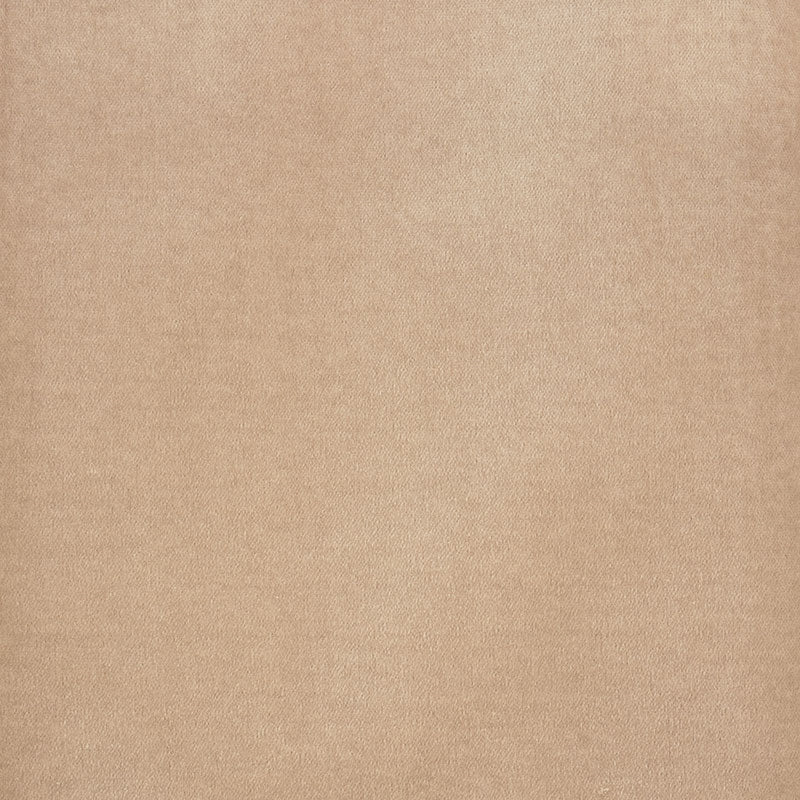 Purchase sample of 70469 Rocky Performance Velvet, Light Taupe by Schumacher Fabric