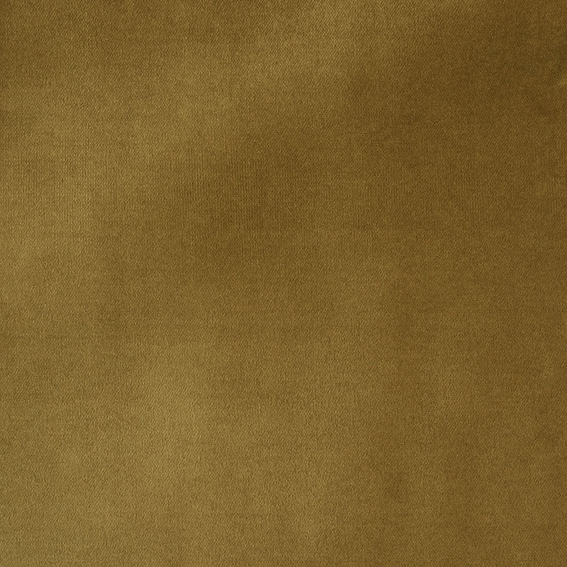 Purchase sample of 70499 Rocky Performance Velvet, Wheat by Schumacher Fabric