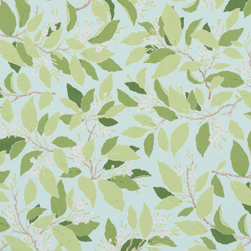 Purchase sample of 176522 Dogwood Leaf, Aqua by Schumacher Fabric