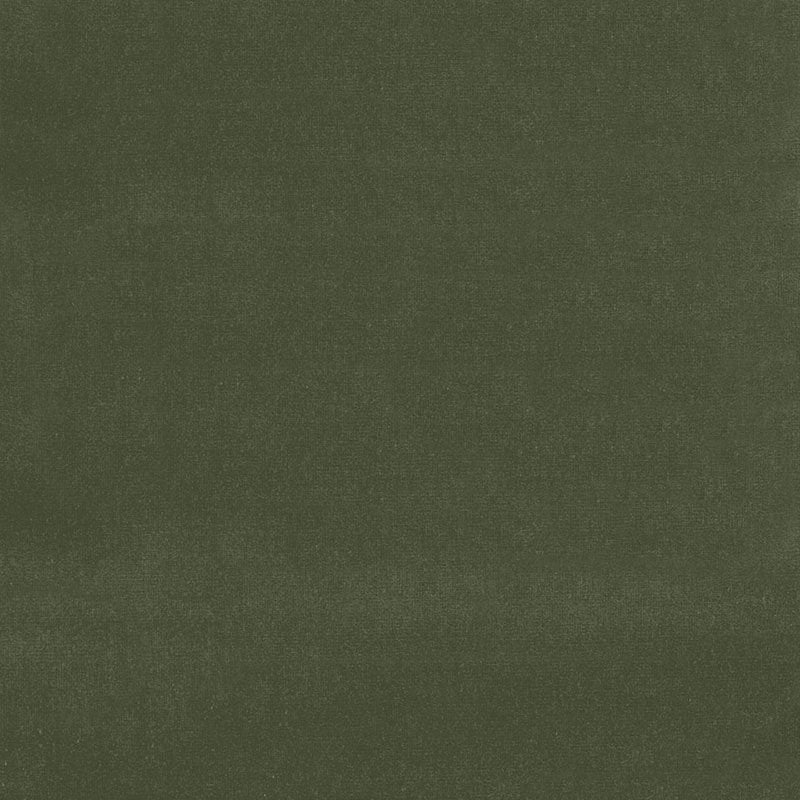 Purchase sample of 42865 Gainsborough Velvet, Parsley by Schumacher Fabric