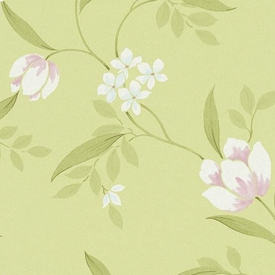 Buy 798852 Tendresse Green Floral by Washington Wallpaper
