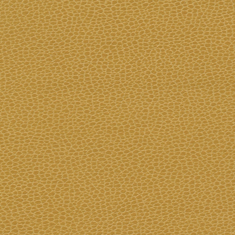 Purchase sample of 363-5258 Promessa, Sunshower by Schumacher Fabric