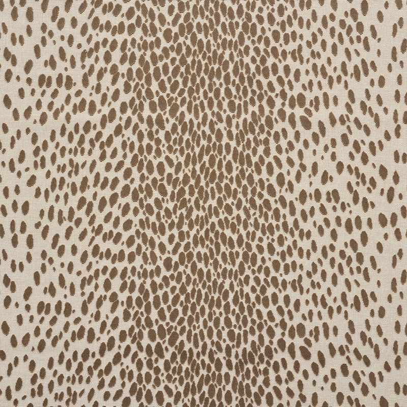 Purchase sample of 73911 Cheetah Velvet, Natural by Schumacher Fabric