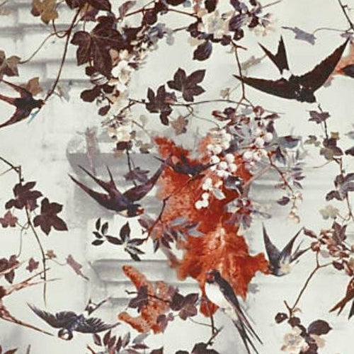 Order WH000043306 Hirondelles Hiver by Jean Paul Gaultier Wallpaper