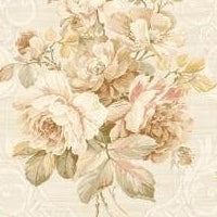 Buy SA50402 Salina White Floral by Seabrook Wallpaper