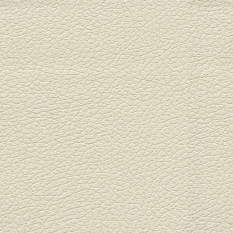 Purchase sample of 303-3019 Brisa, Birch by Schumacher Fabric