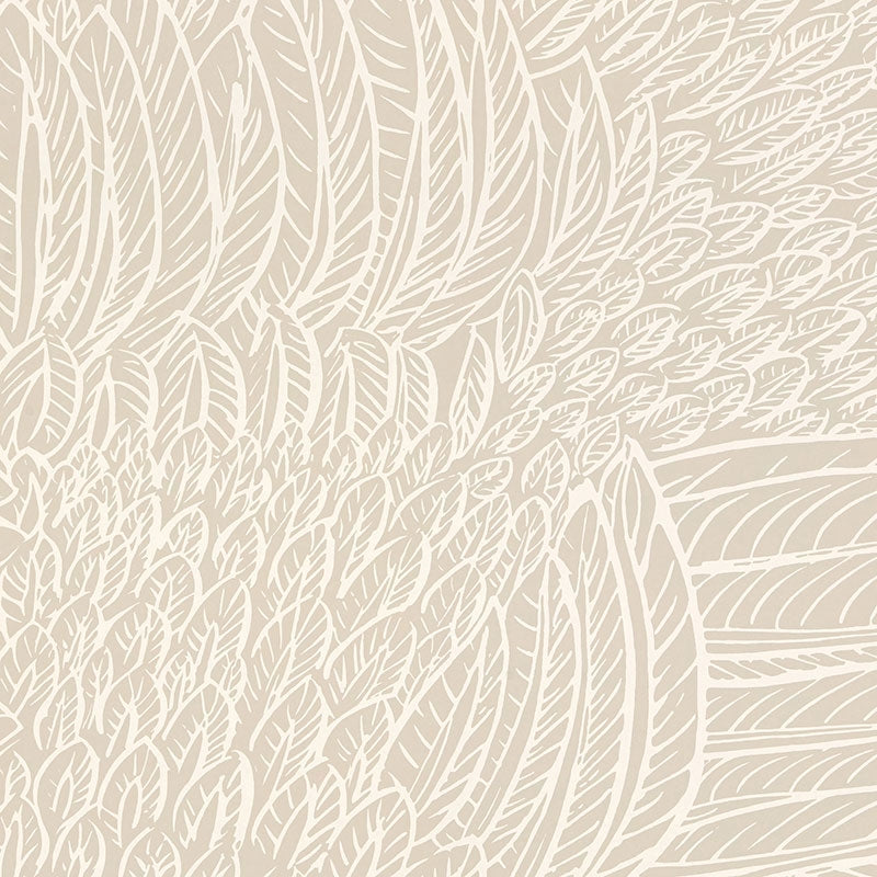 Looking for 5007561 Featherfest Natural Schumacher Wallpaper