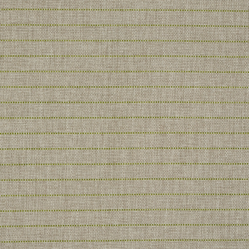Purchase sample of 71813 Manning Stripe Indoor/Outdoor, Lime by Schumacher Fabric