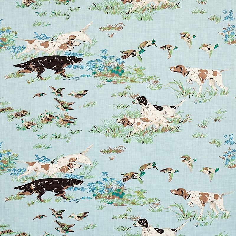 Purchase 175161 Pointers Sky by Schumacher Fabric