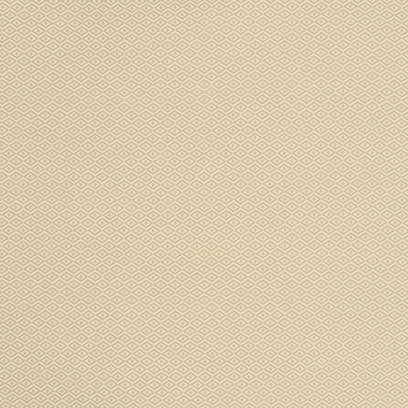 Shop S2139 Chai Neutral Geometric Greenhouse Fabric