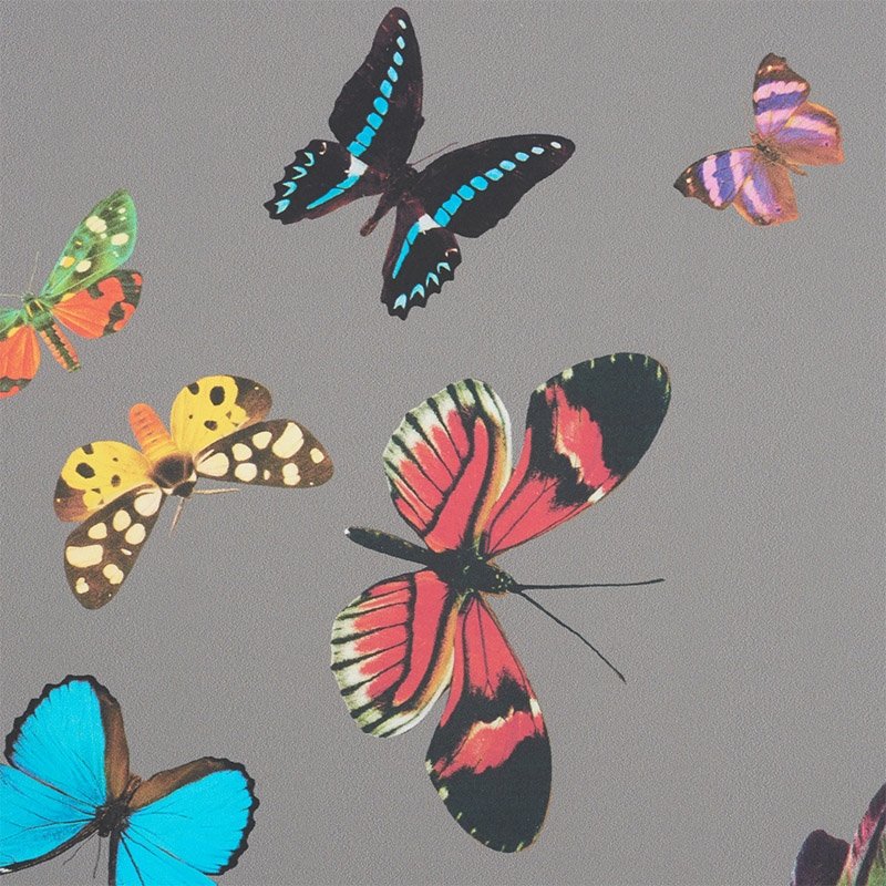 Order 5010862 Queen's Flight Panel Set Grey Schumacher Wallcovering Wallpaper