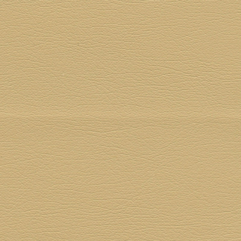 Purchase sample of 291-3851 Ultraleather, Chamois by Schumacher Fabric