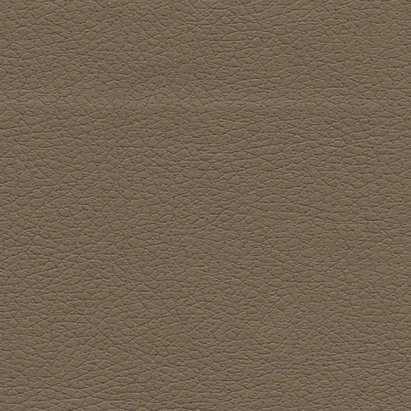 Purchase sample of 303-3914 Brisa, Bark by Schumacher Fabric