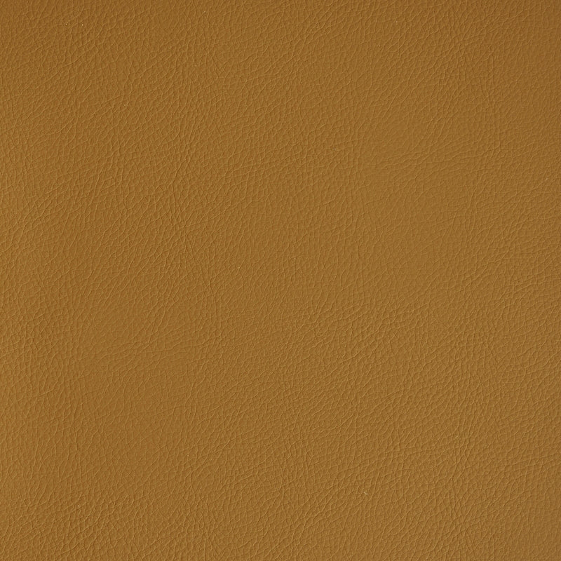 Purchase sample of 79550 Indoor/Outdoor Vegan Leather, Saddle by Schumacher Fabric