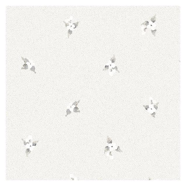 Shop AF37747 Flourish (Abby Rose 4) Grey Laurel Spot Wallpaper in shades of Grey by Norwall Wallpaper