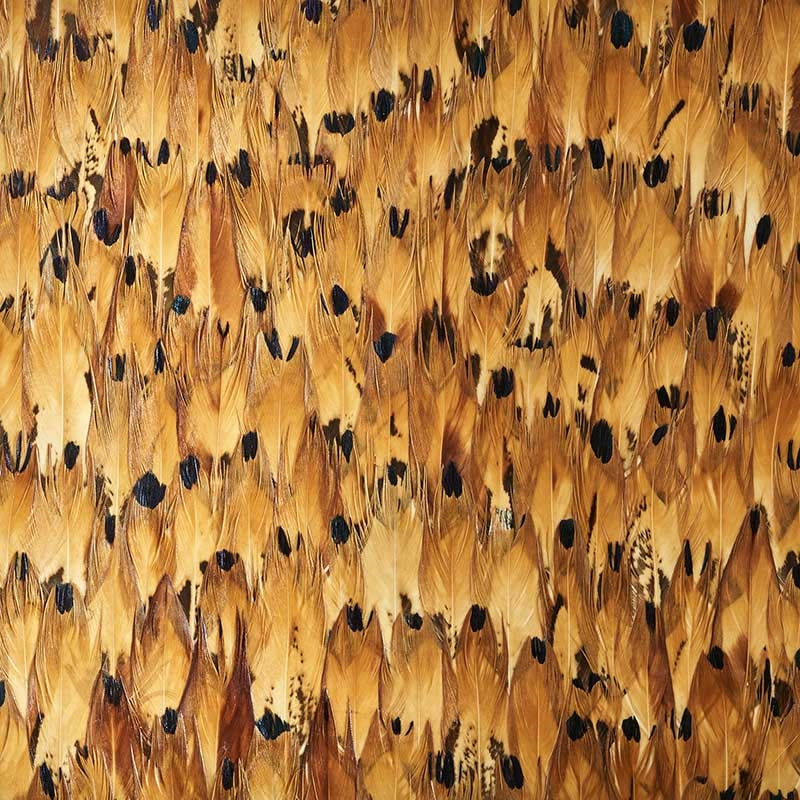 Buy 5008389 Aventurine Tulip Yellow Schumacher Wallpaper