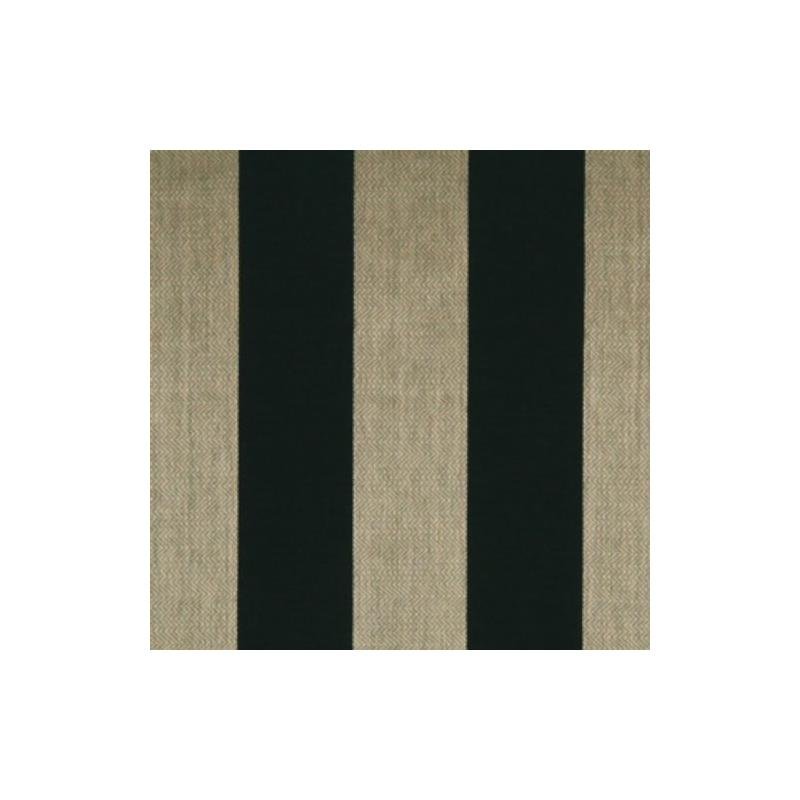 214510 | Modern Raffia Ebony - Beacon Hill Fabric