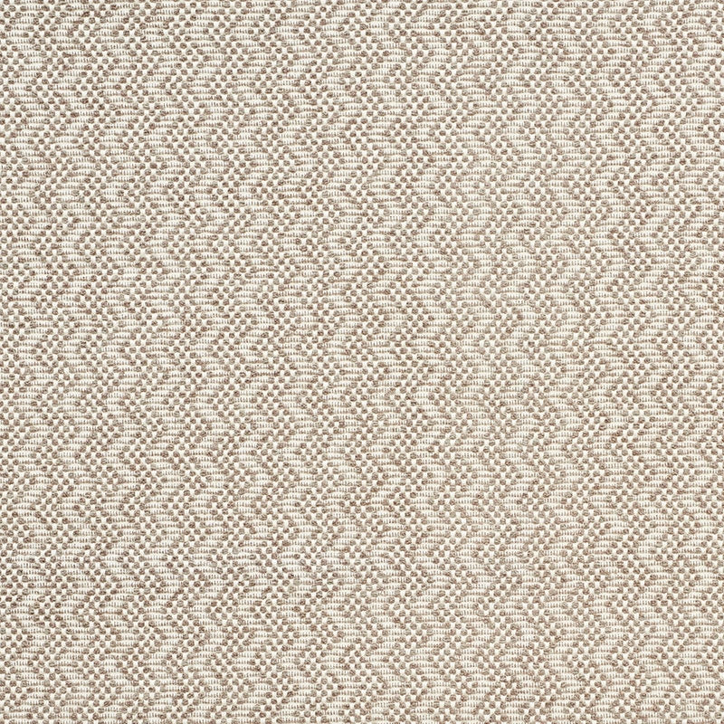Purchase sample of 75490 Audley, Taupe by Schumacher Fabric