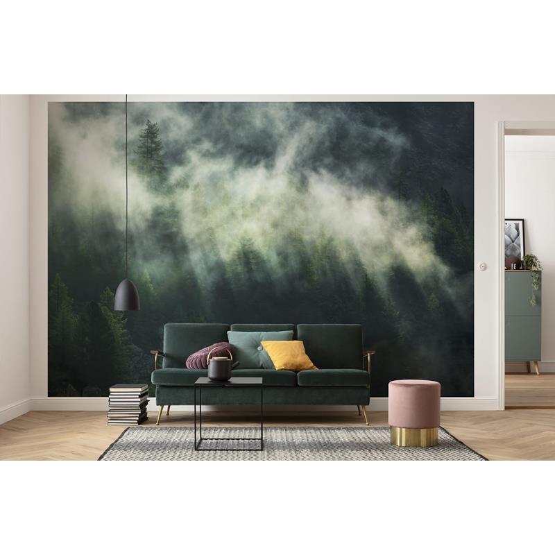 X7-1003 Colours Misty Crowns Wall Mural by Brewster,X7-1003 Colours Misty Crowns Wall Mural by Brewster2