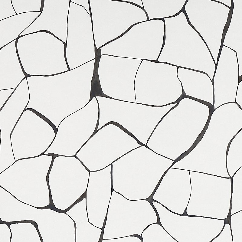 5009704 | Filigree, Black - Schumacher Wallcovering