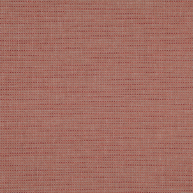 SENTENCE 42J8321 - JF Fabric