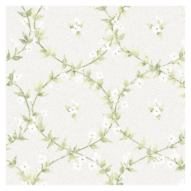 View AF37746 Flourish (Abby Rose 4) Green Floral Laurel Wallpaper by Norwall Wallpaper