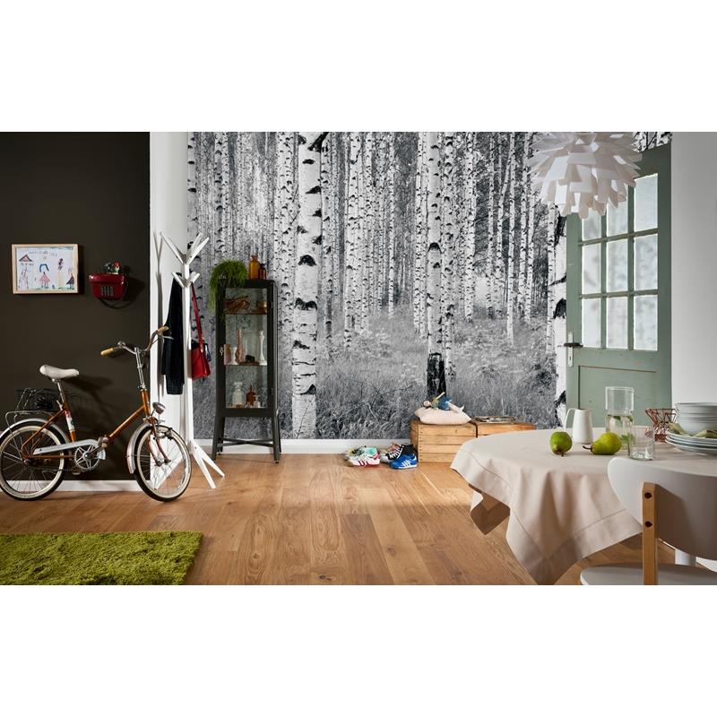 XXL4-023 Colours Birch Forest Wall Mural by Brewster,XXL4-023 Colours Birch Forest Wall Mural by Brewster2