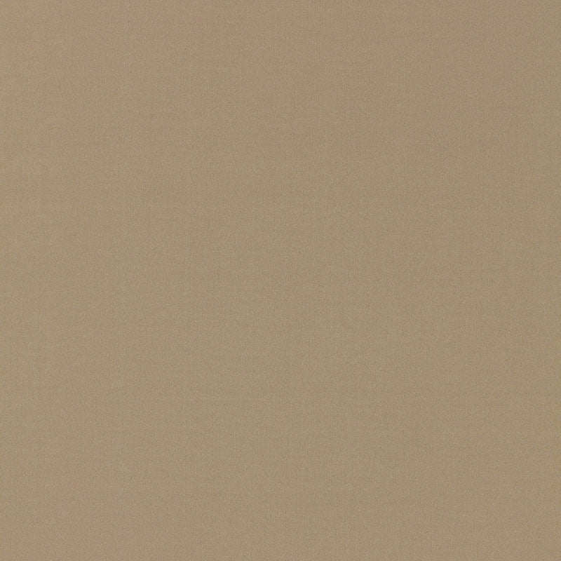 Purchase sample of 63901 Masaccio Taffeta, Fawn by Schumacher Fabric