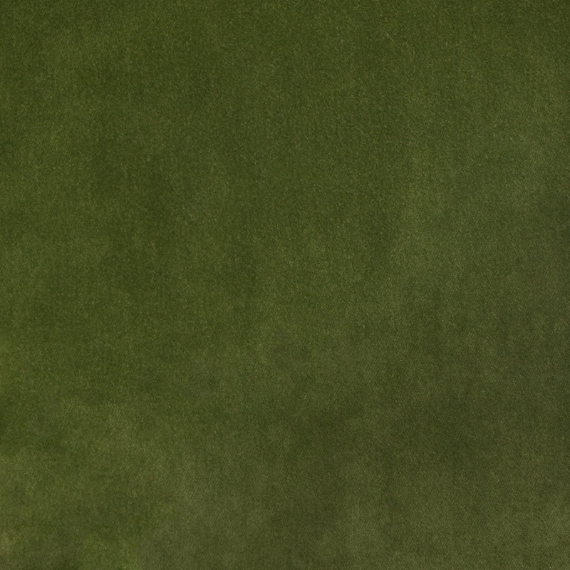 Save S2353 Moss Green Texture Greenhouse Fabric