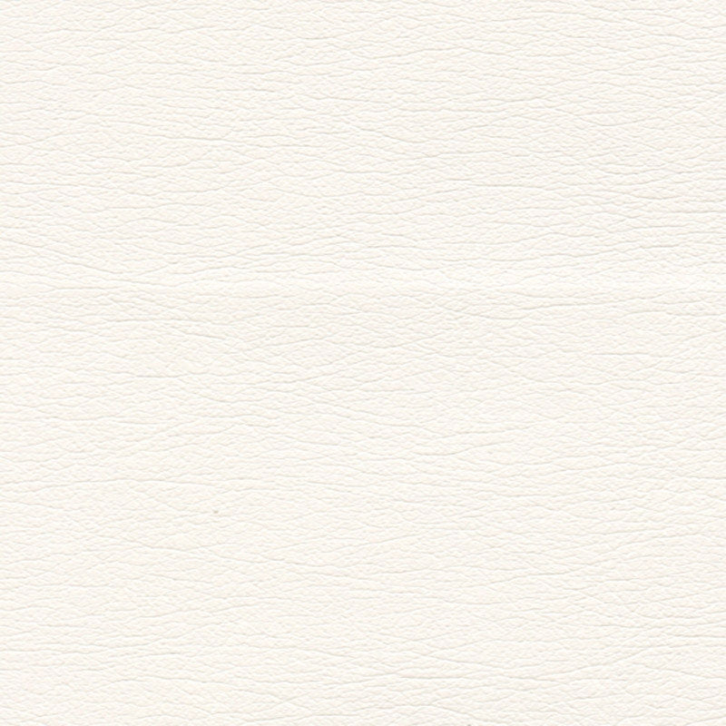 Purchase sample of 291-5805 Ultraleather, Ermine by Schumacher Fabric