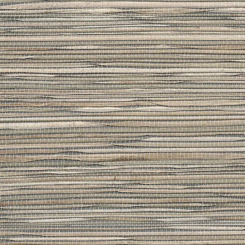 Purchase 3370 Grass Roots Generation Grey Phillip Jeffries Wallpaper