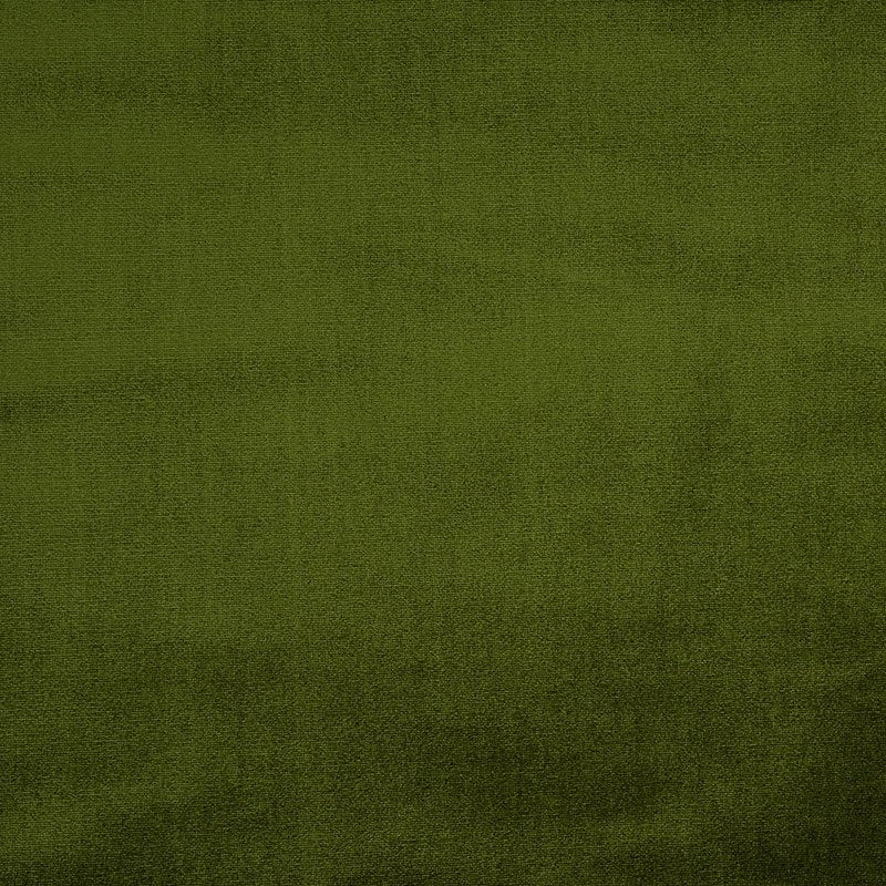 Purchase sample of 70438 Venetian Silk Velvet, Moss by Schumacher Fabric