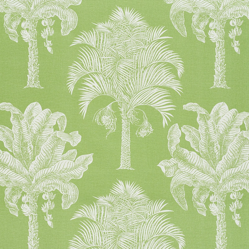 Purchase sample of 178000 Grand Palms, Leaf by Schumacher Fabric