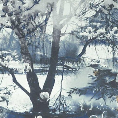 Save WH000033307 Brume Encre by Jean Paul Gaultier Wallpaper