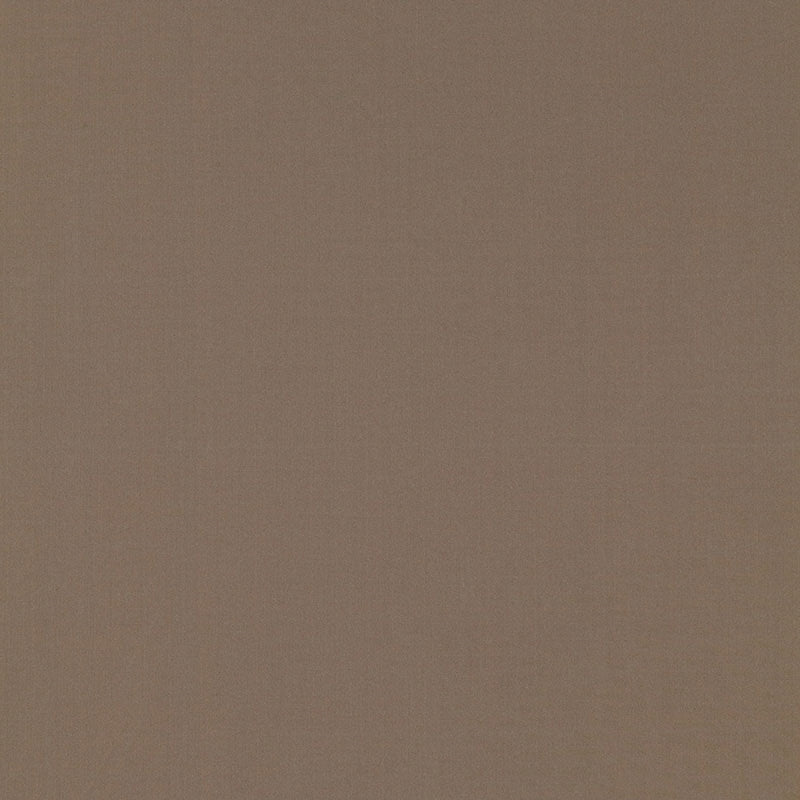 Purchase sample of 63906 Masaccio Taffeta, Moonstone by Schumacher Fabric
