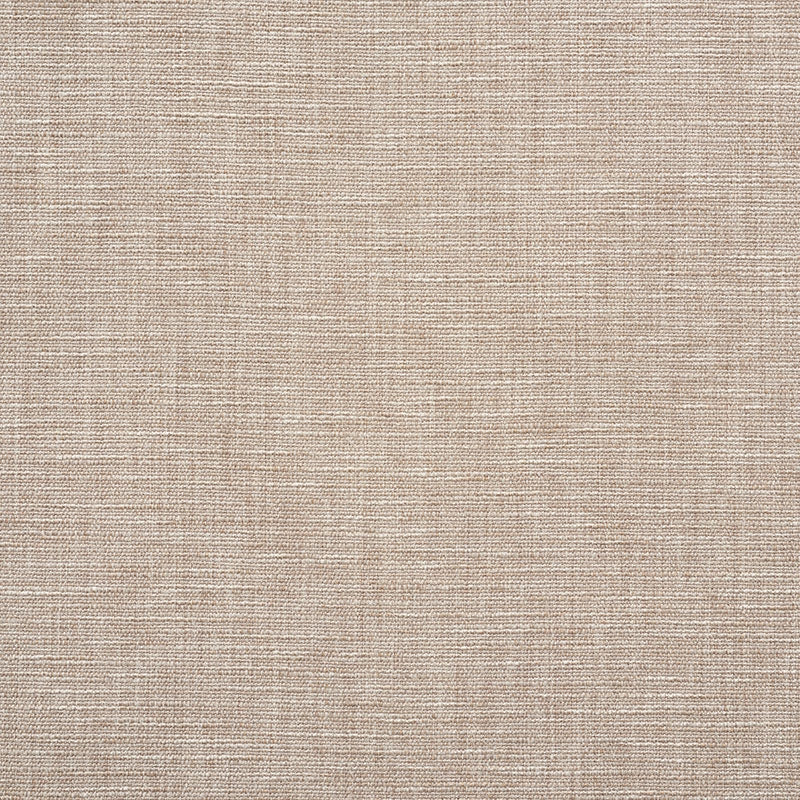 Purchase sample of 75102 Max Woven, Flax by Schumacher Fabric
