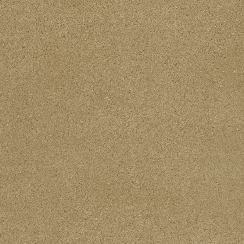 Purchase 4334 Suede Lounge Amaretto Phillip Jeffries Wallpaper