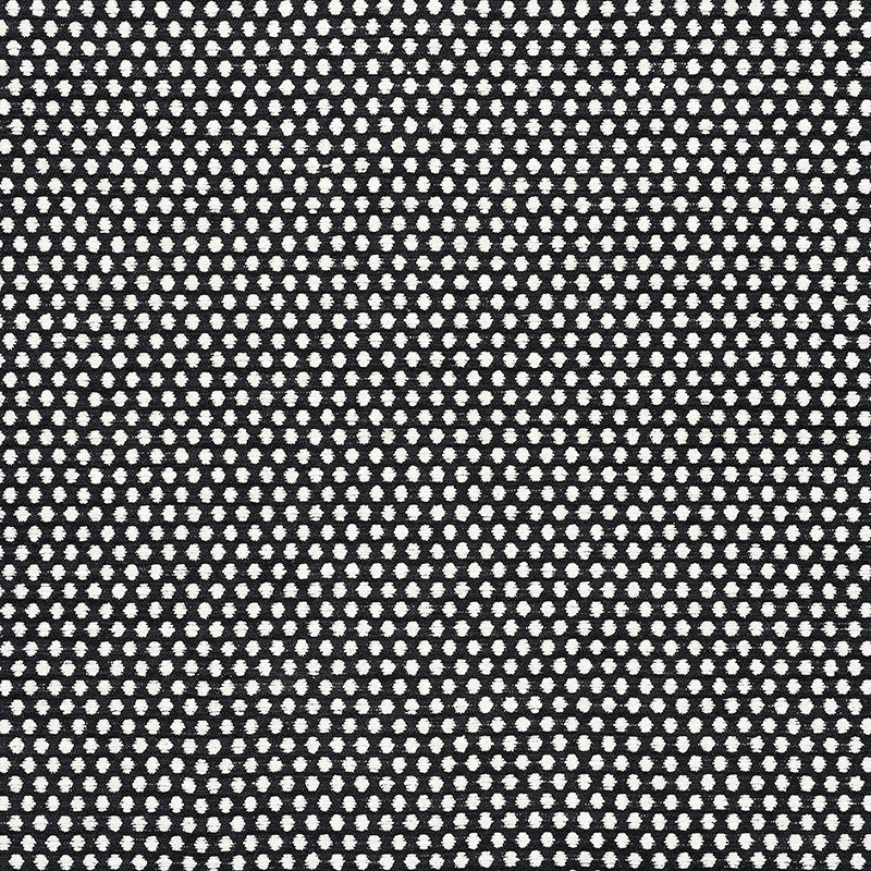 Purchase sample of 54601 Sabina, Ivory Black by Schumacher Fabric