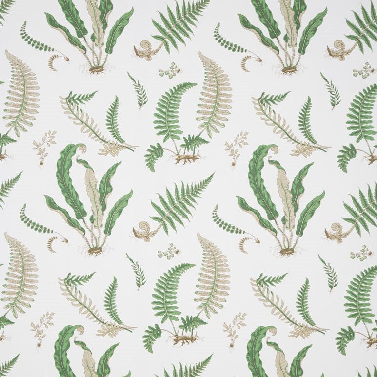 Buy 0310321 multipurpose lee jofa fabric Fabric