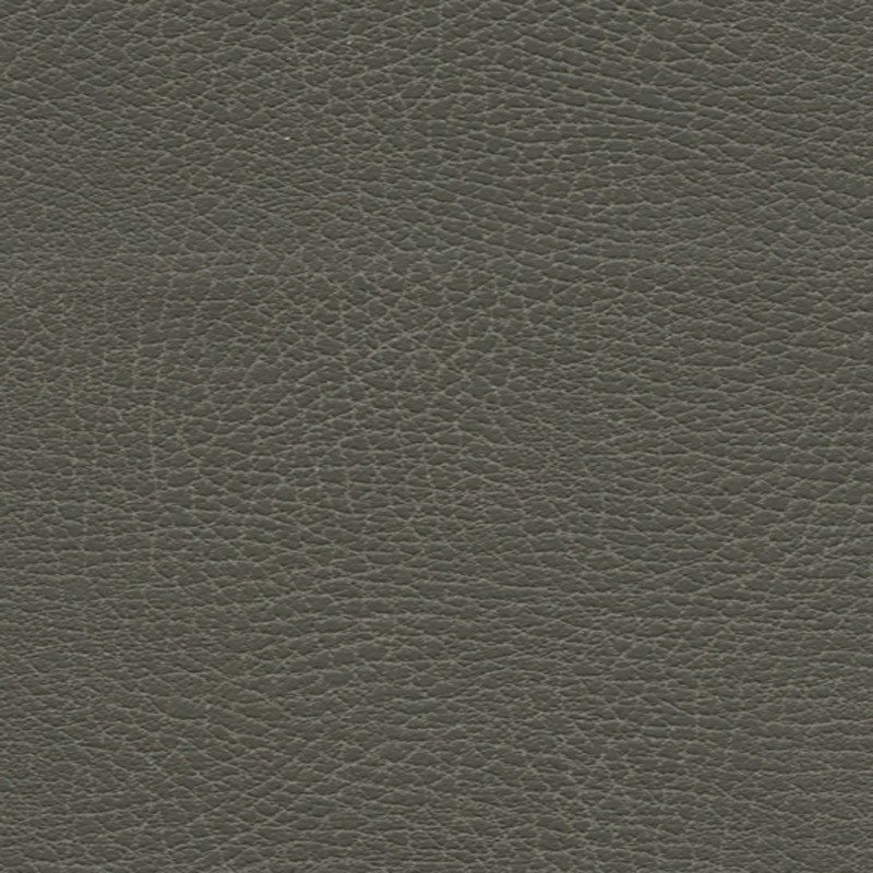 Purchase sample of 335-3870 Brisa Distressed, Elephant by Schumacher Fabric