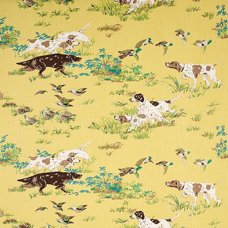 Purchase sample of 175162 Pointers, Yellow by Schumacher Fabric