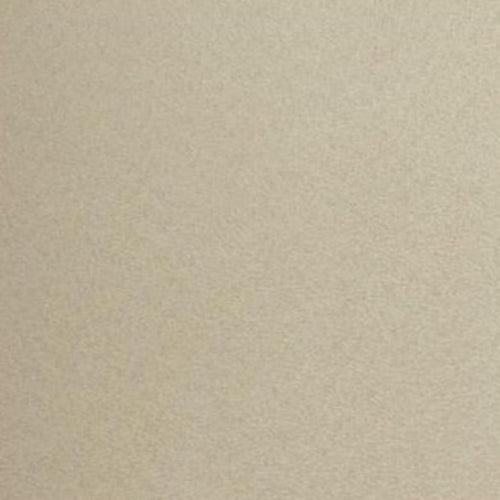 WTE6034.WT.0 Dovera Latte Solid Winfield Thybony Wallpaper