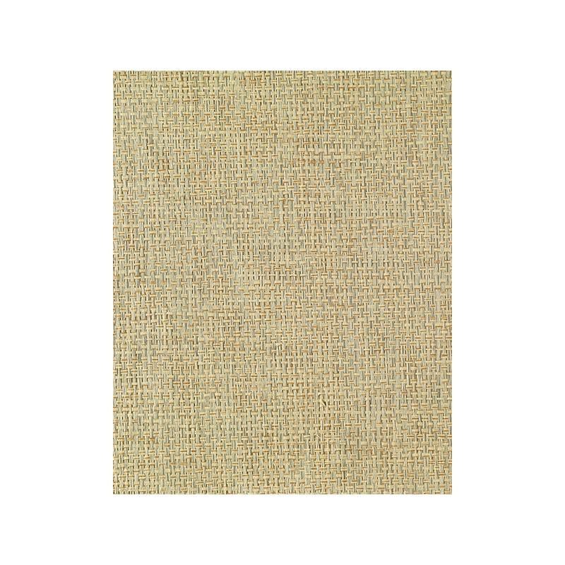 Sample EW3142 East WindsIII by Washington Wallcovering