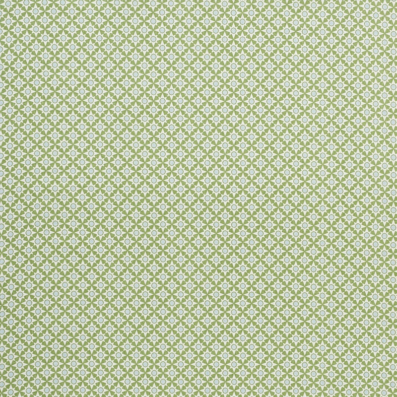 Purchase sample of 177961 Serendipity, Green by Schumacher Fabric