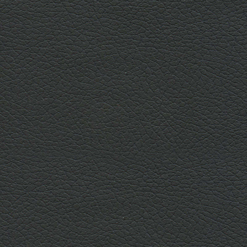 Purchase sample of 303-5749 Brisa, Black Onyx by Schumacher Fabric